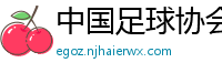 中国足球协会官方网站